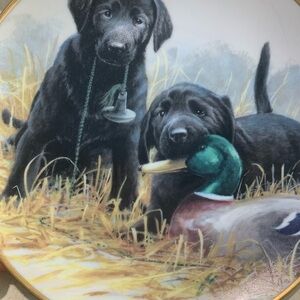 Decorative Plate with Black Labrador Puppies and Duck